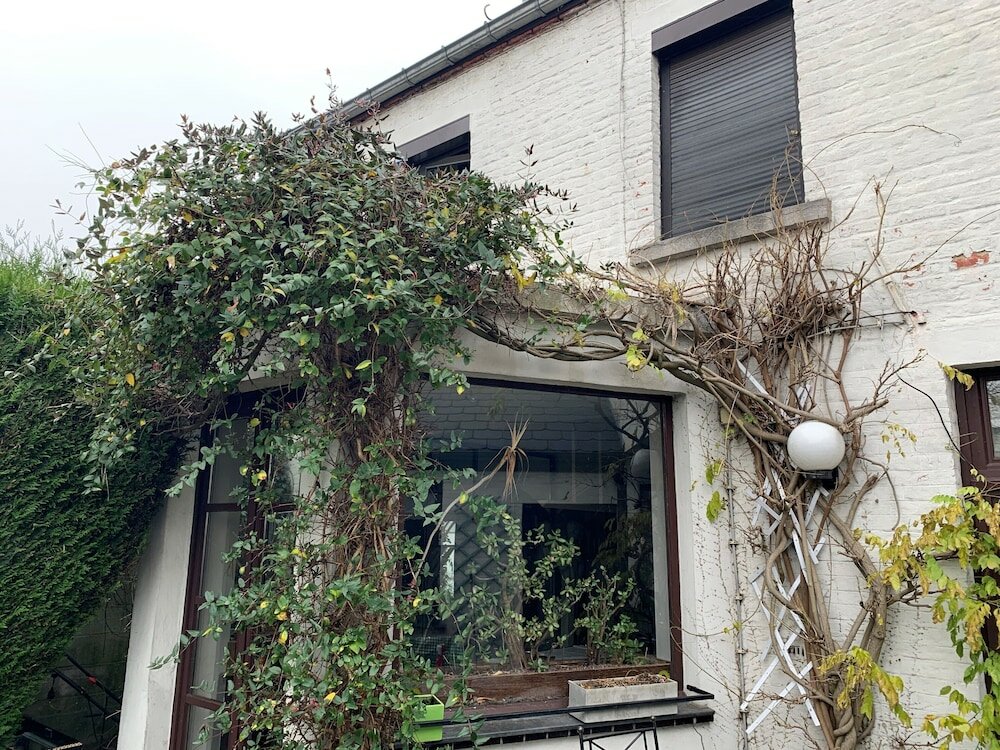 Фото Chambres D'hôte l'écureuil Proche de Mons, Pairi Daiza, à Côté de Spark'oh