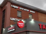 Business Dorogi (Zheleznodorozhny Microdistrict, Novaya ulitsa, 8А), accountants