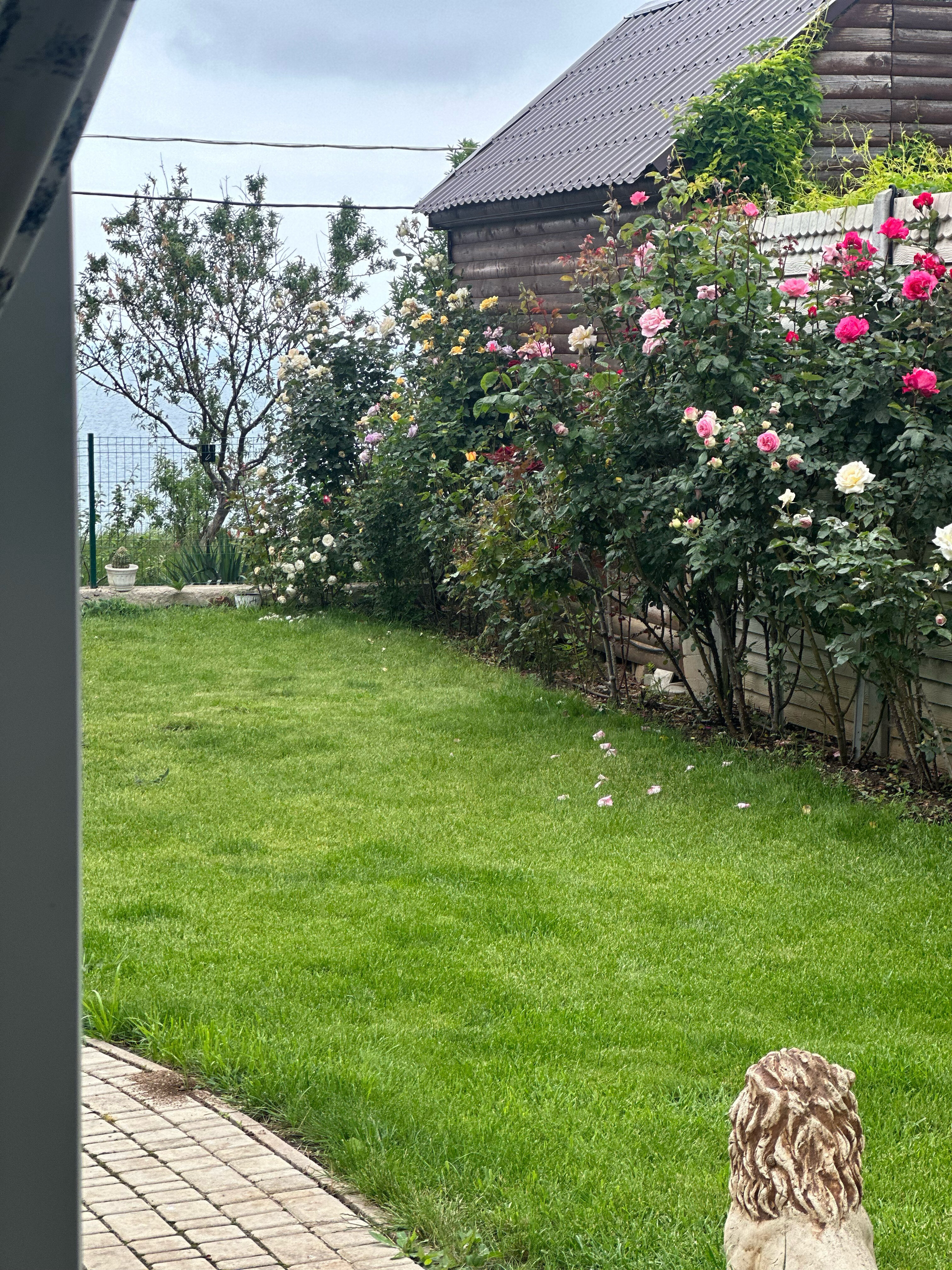 Фото Райский уголок