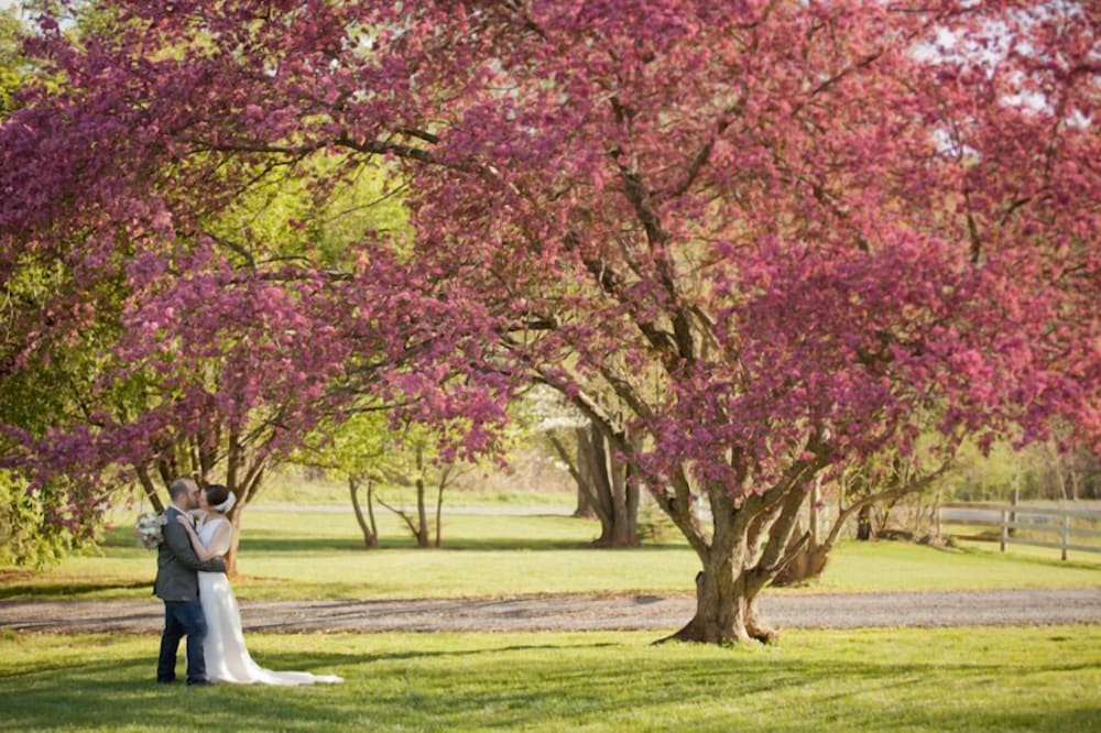 Фото Briar Patch Bed & Breakfast Inn