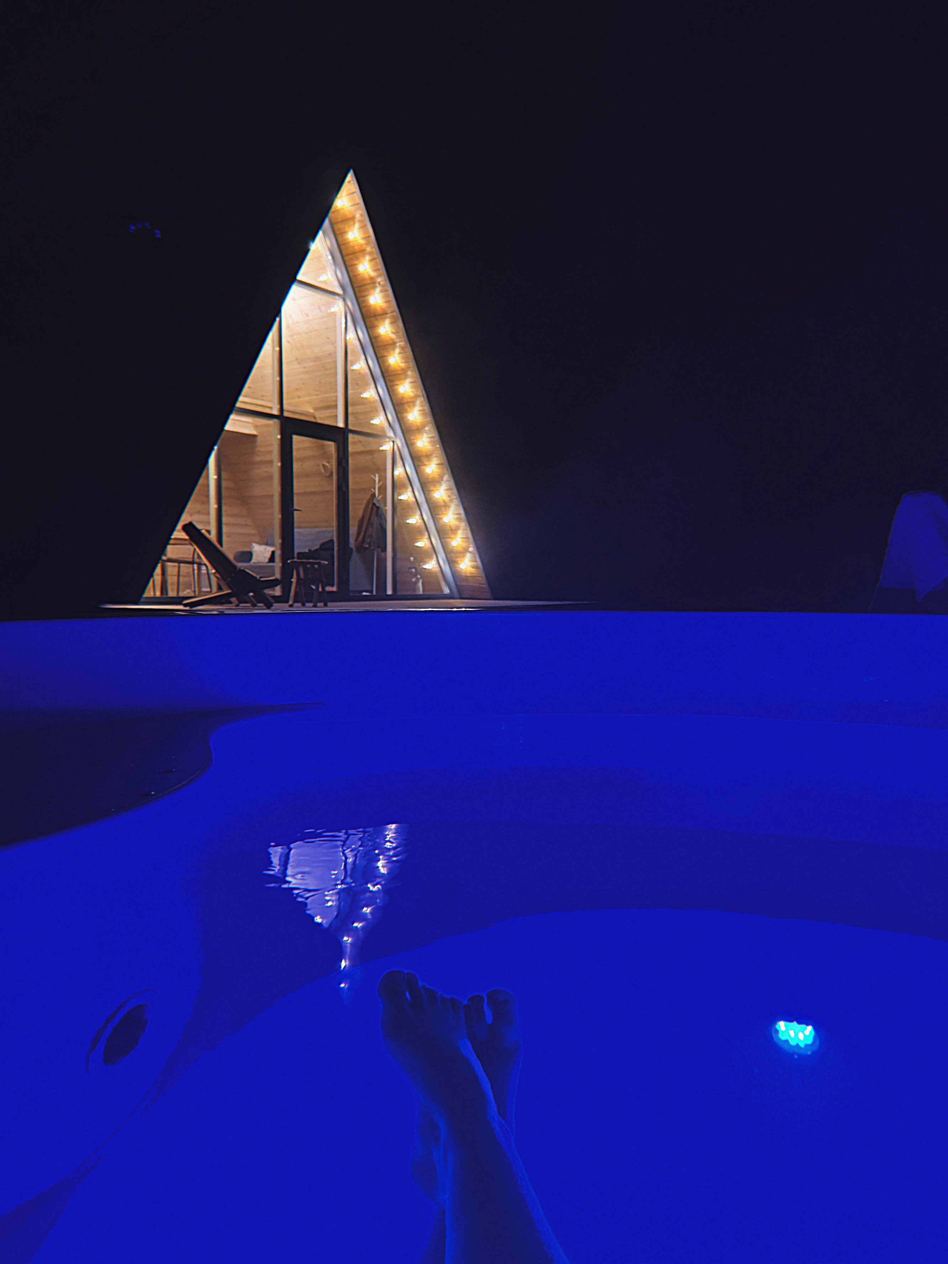 Фото Камыши