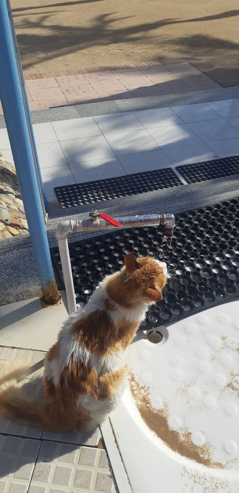 Фото Giftun Azur Resort