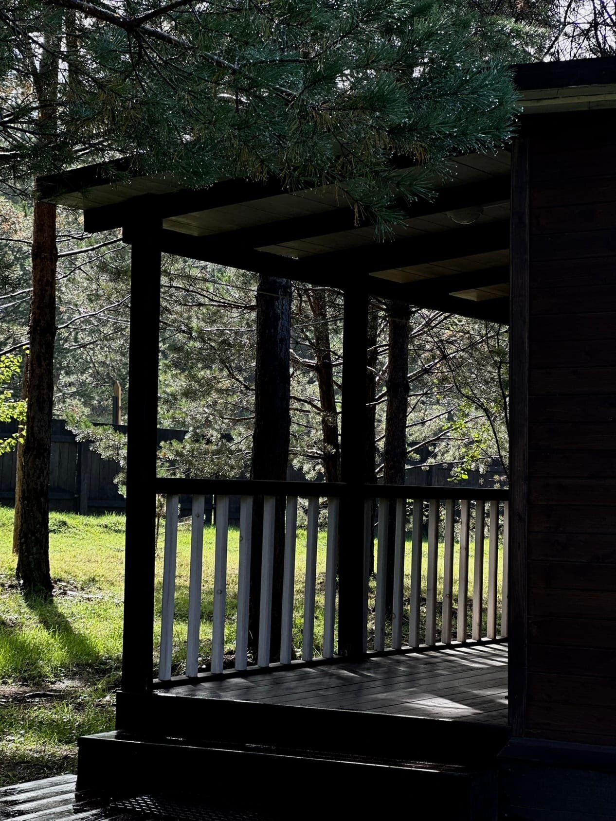 Фото Сосновый рай