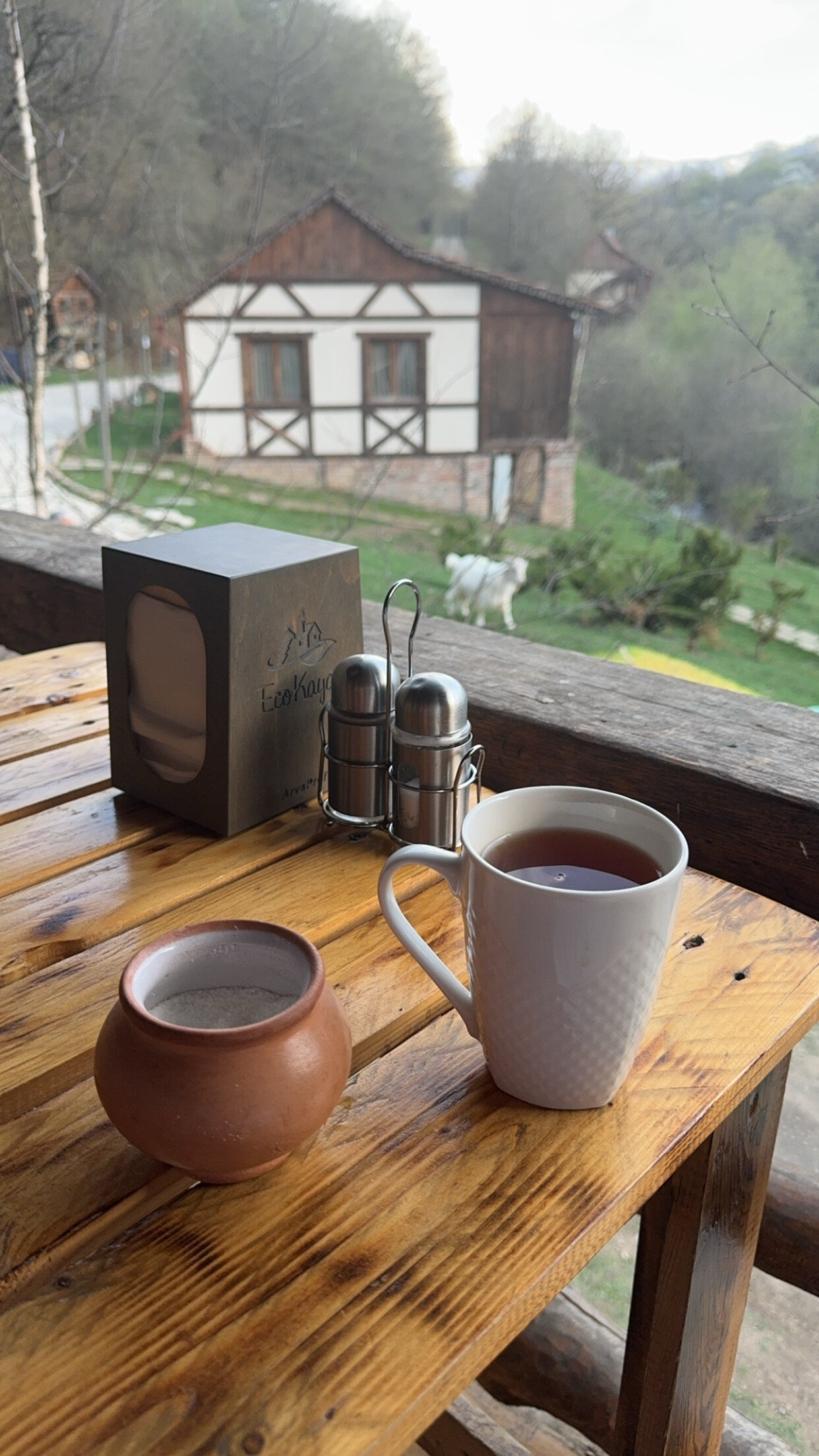 Фото Ecokayan Dilijan Resort Hotel