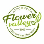Flower valley (Moscow Region, Odintsovskiy Urban District, Settlement of Podsobnogo Khozyaystva MK KPSS), plant nursery