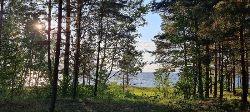 Мини-отель Легково — фото 20
