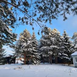 Фото Harland Village