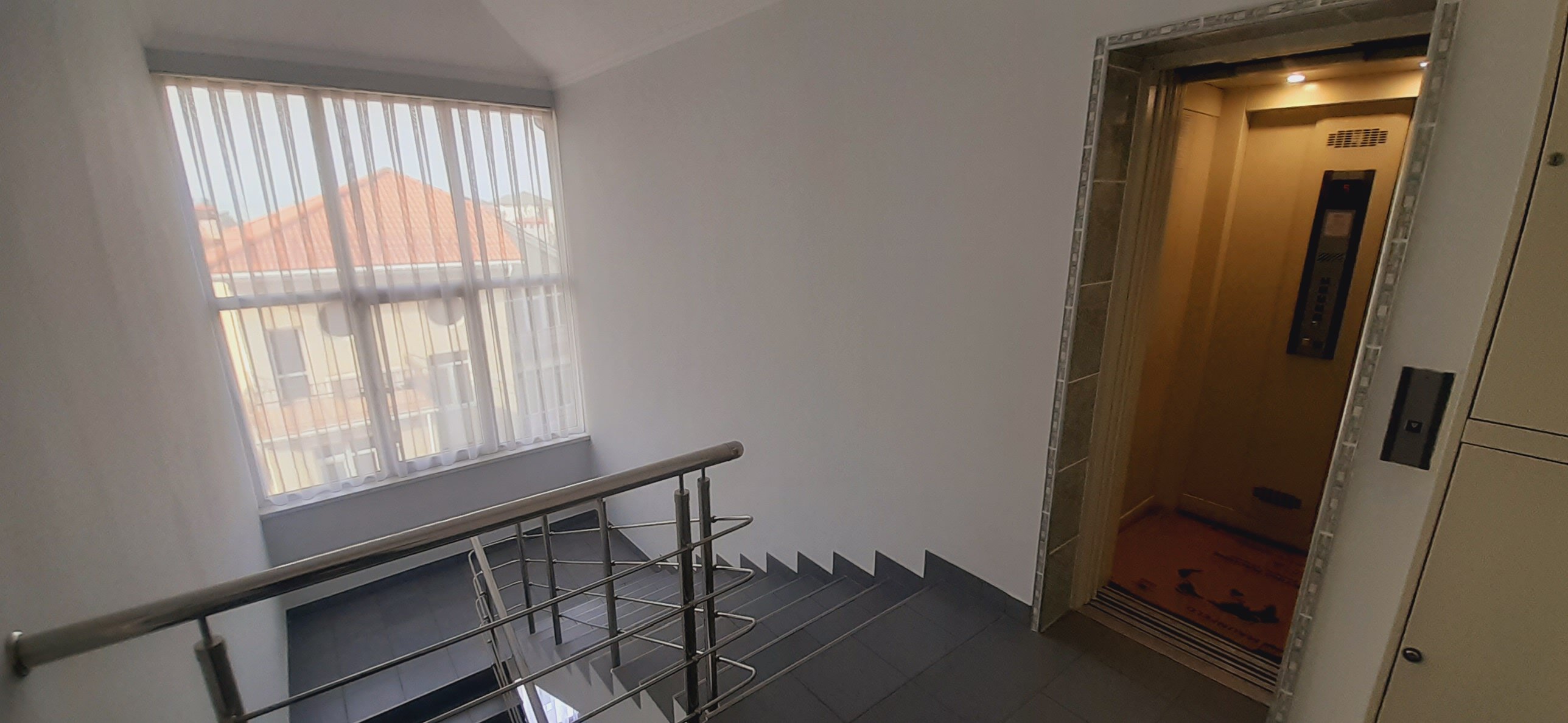 Фото Орхидея