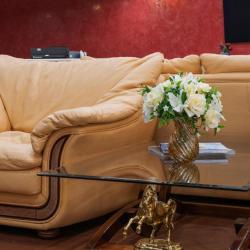 Фото Золотой дельфин