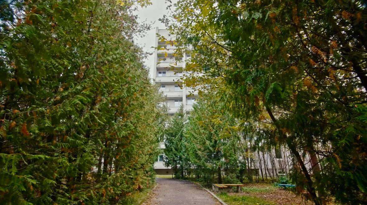 Фото Сосновый Бор