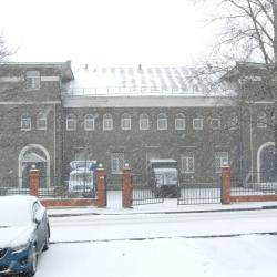 Фото Лакмус