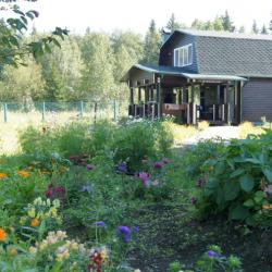 Фото Лукоморье