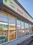 Хозтовары (Pionerov Street, 13Б), household goods and chemicals shop