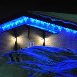 Фото Снегири