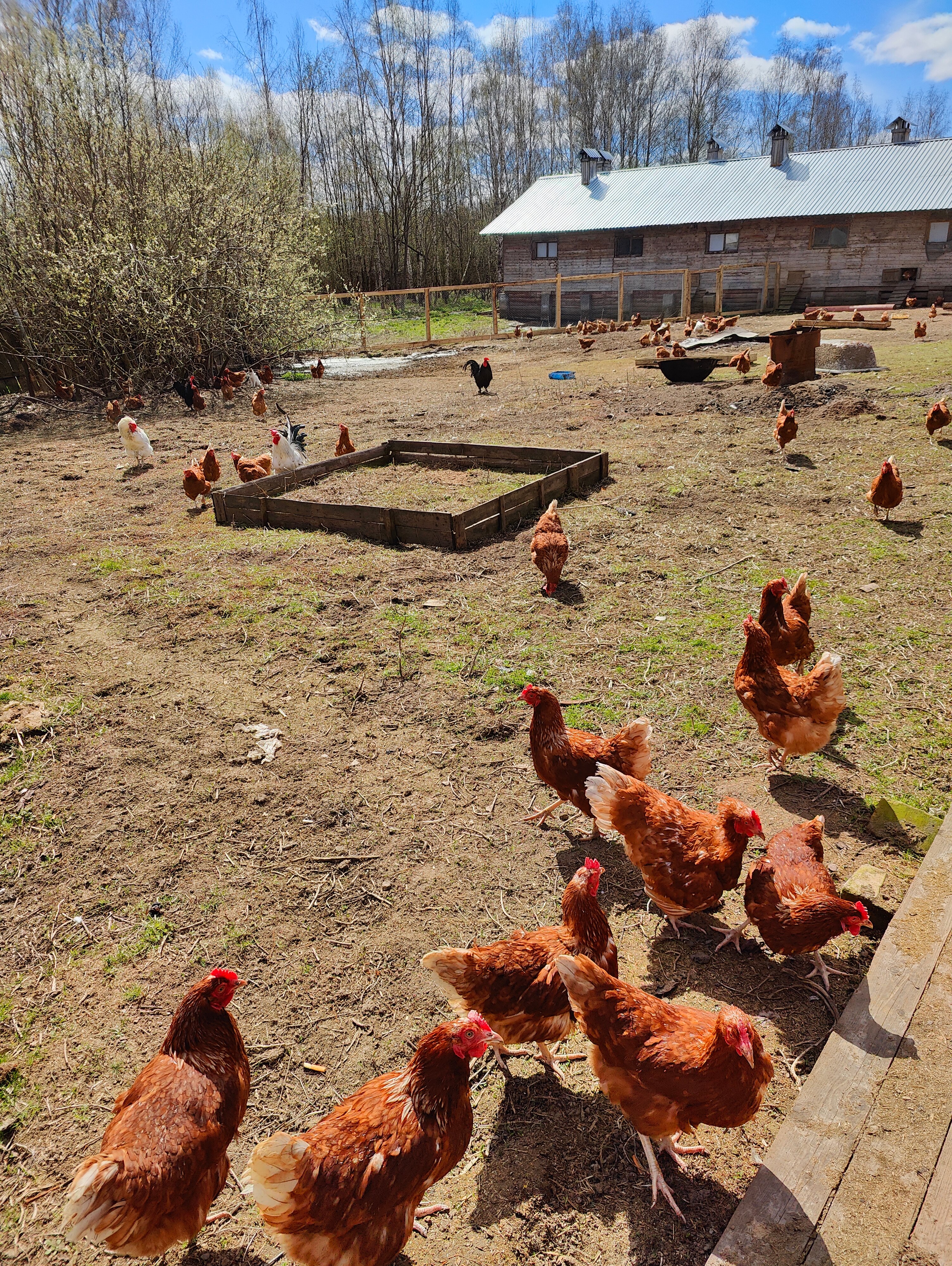 Фото Волжский фермер
