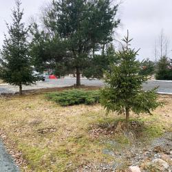 Фото Агроэкологический туристический комплекс Гостевой Домик