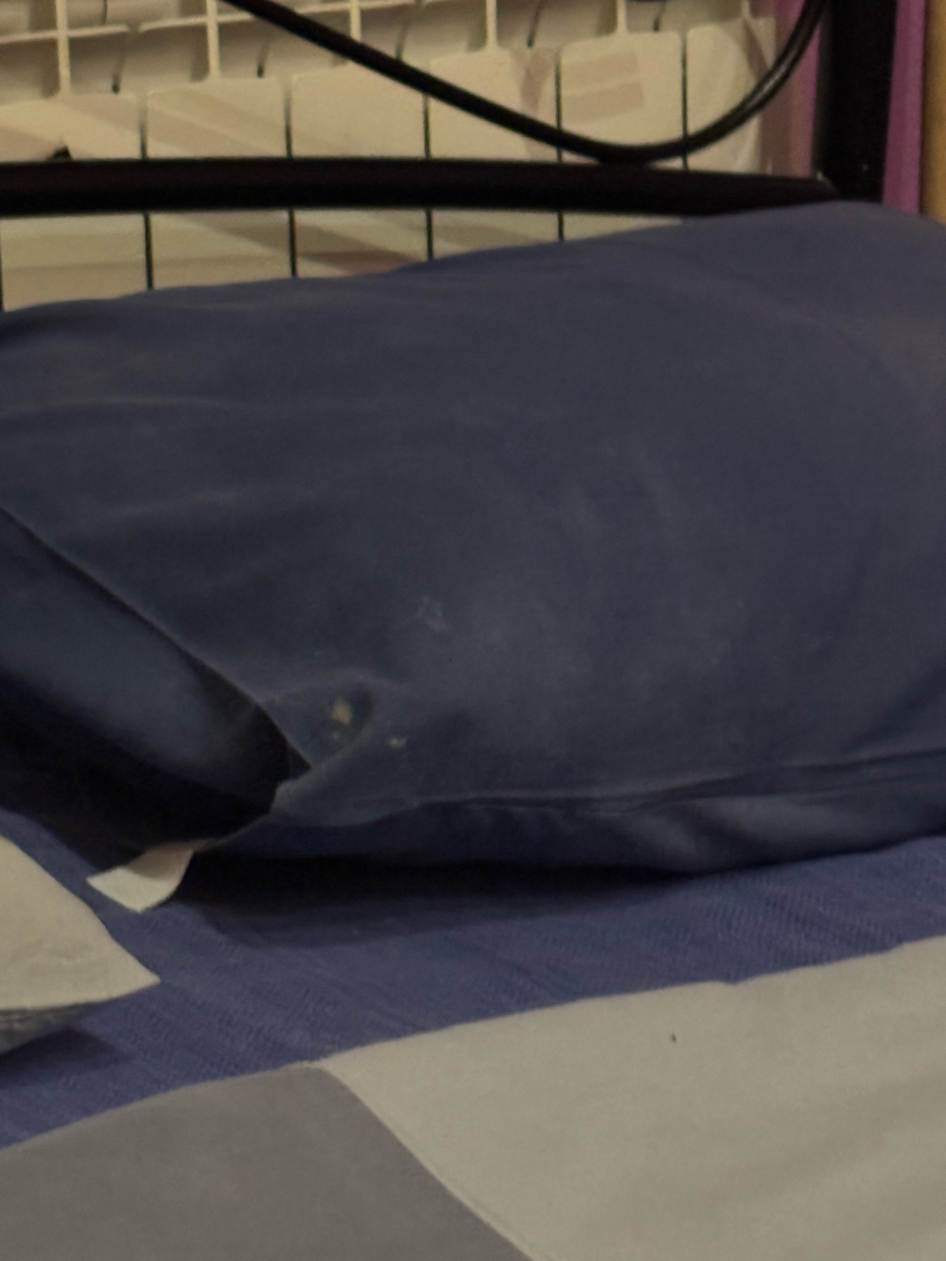 Фото Фортуна ИНН