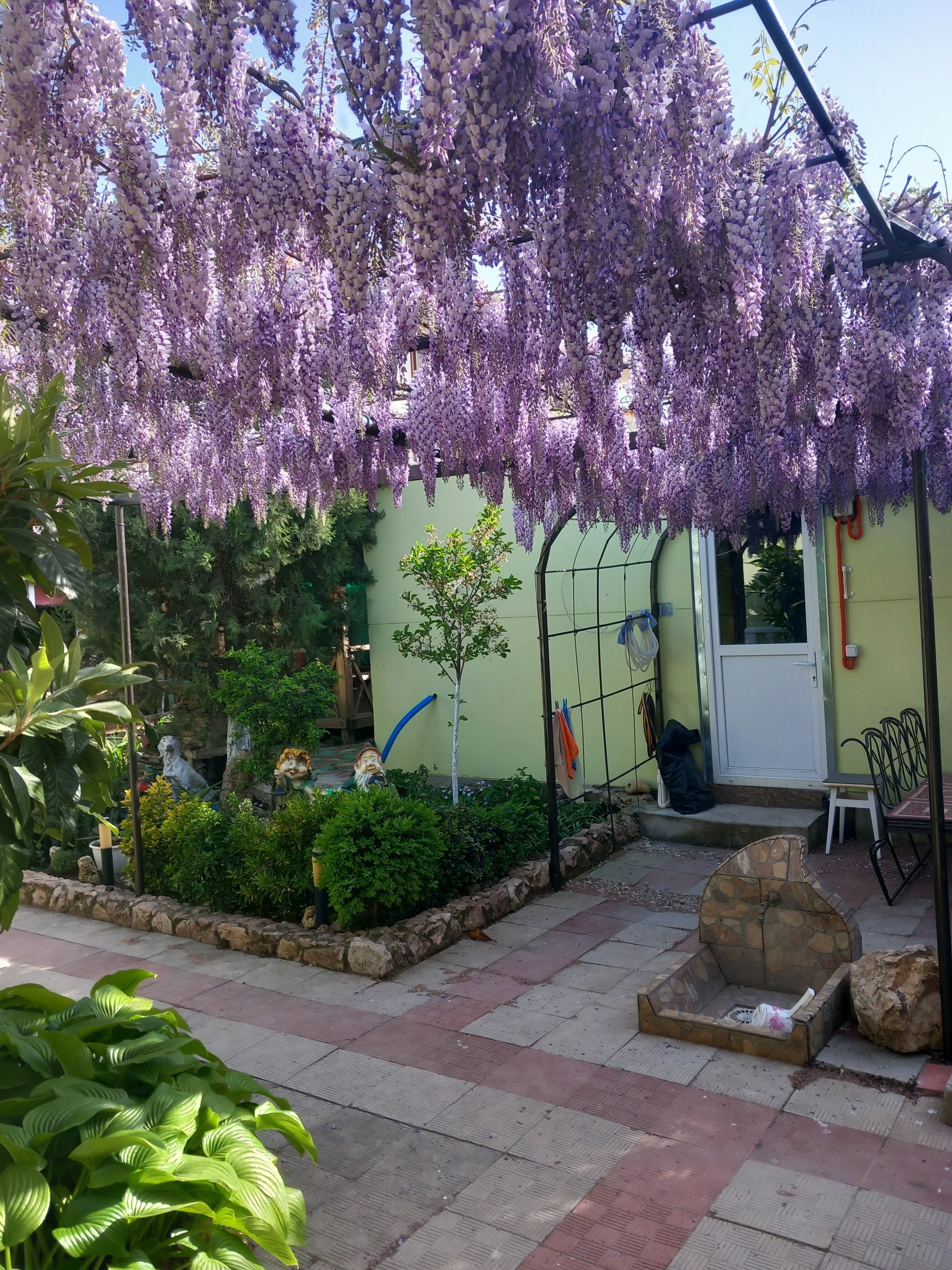 Фото Зелёный дворик