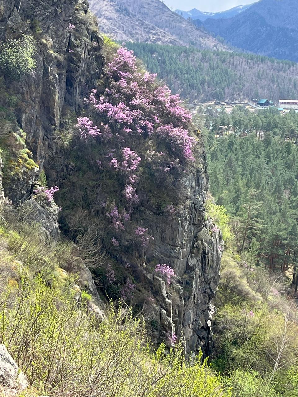 Фото Алтай-Вояж