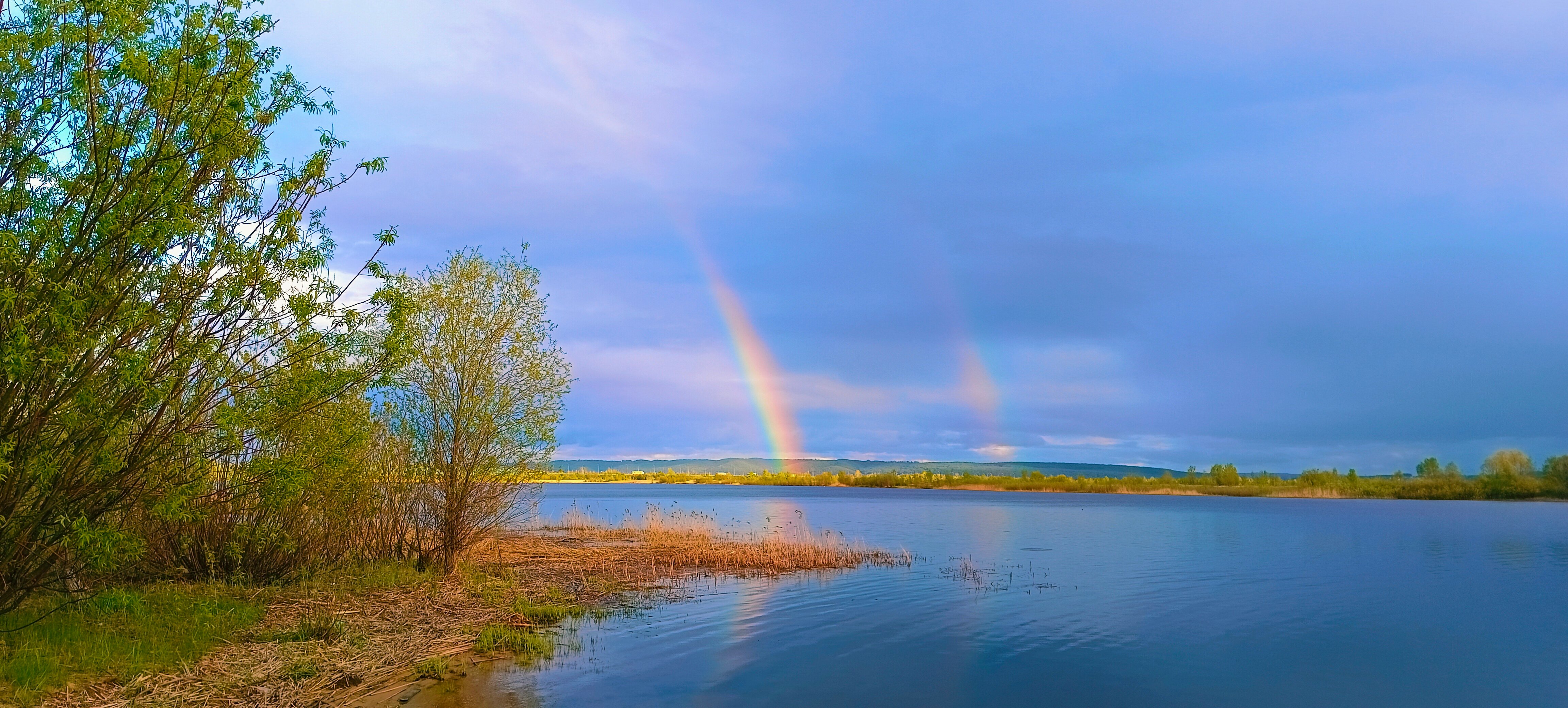 Фото Займище