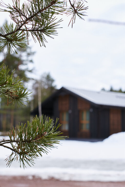 Фото Krasota Scape