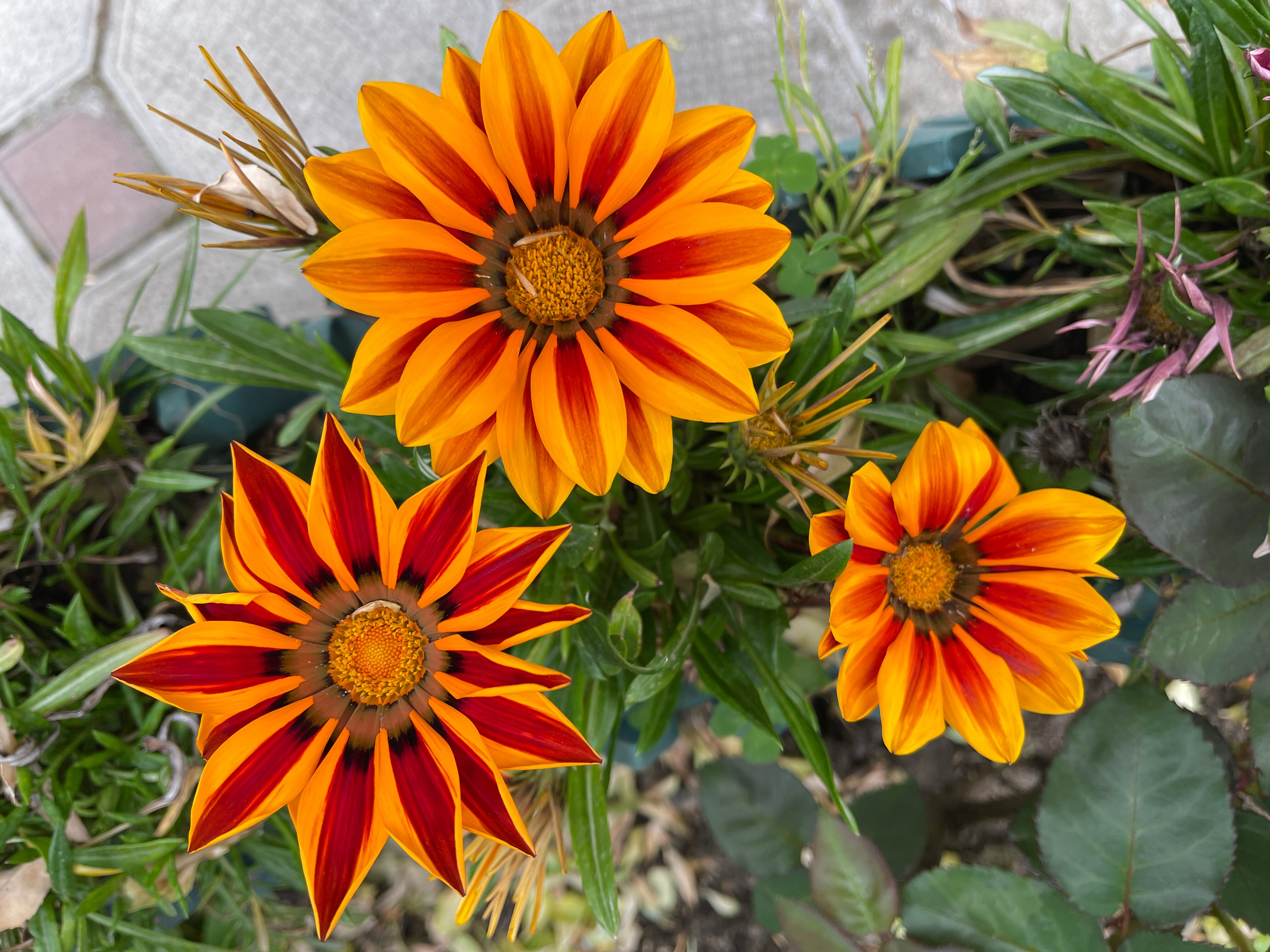 Фото Ахчыпсы