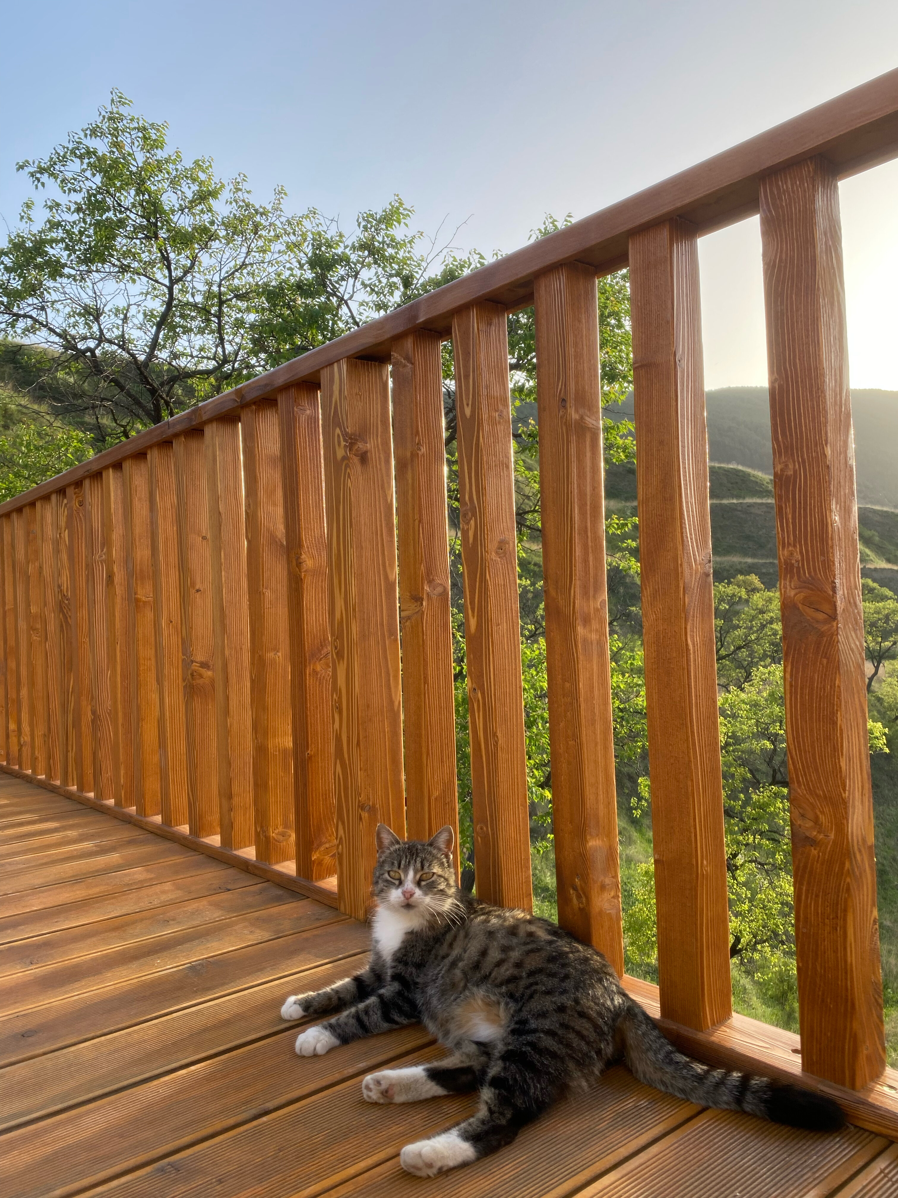 Фото Villa Memory