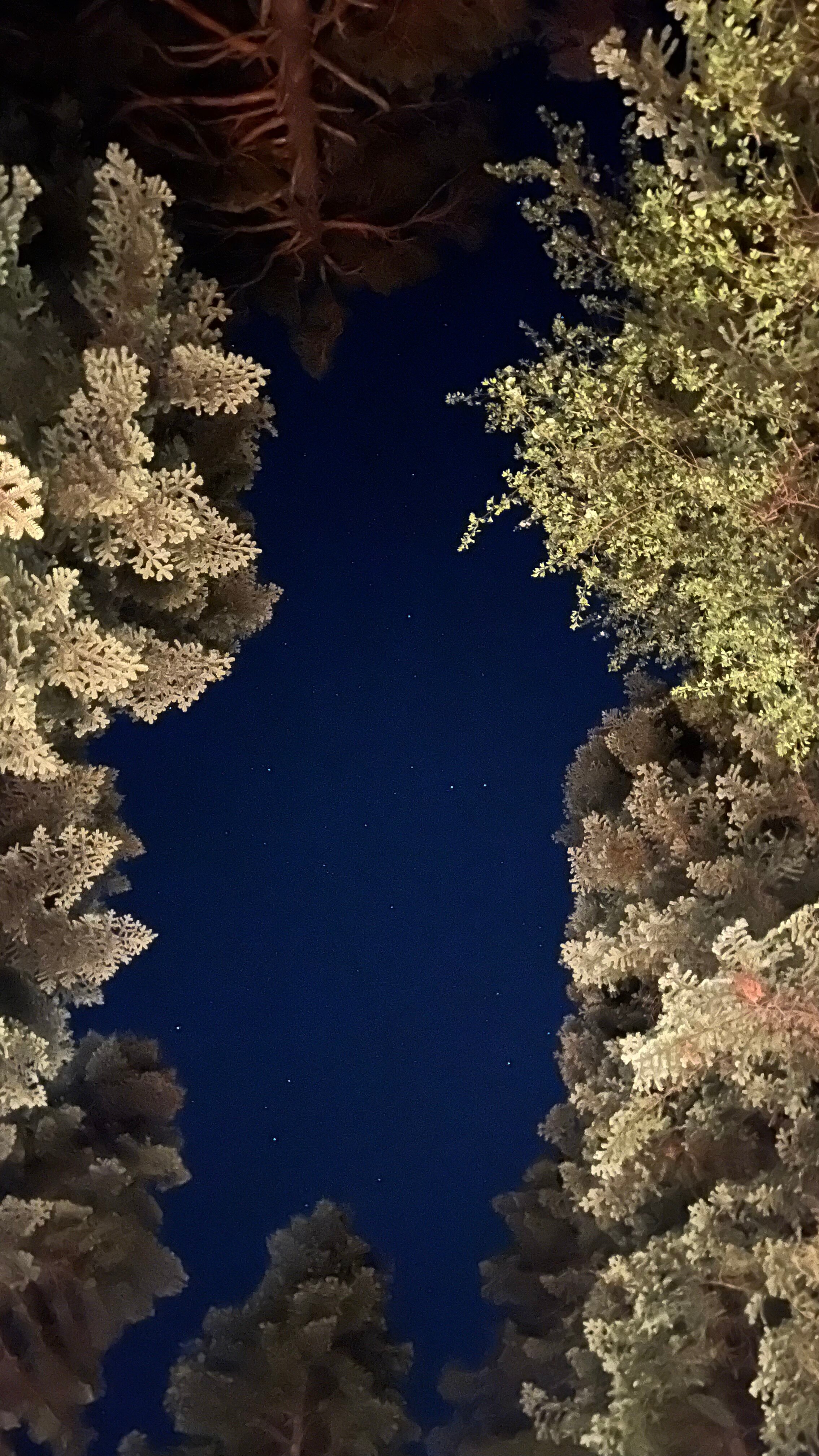 Фото Атмосфера Архыз