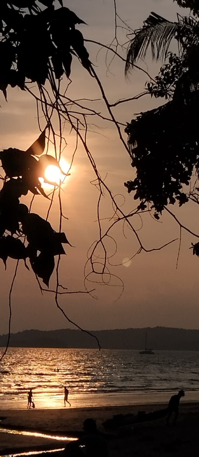 Фото Krabi Resort