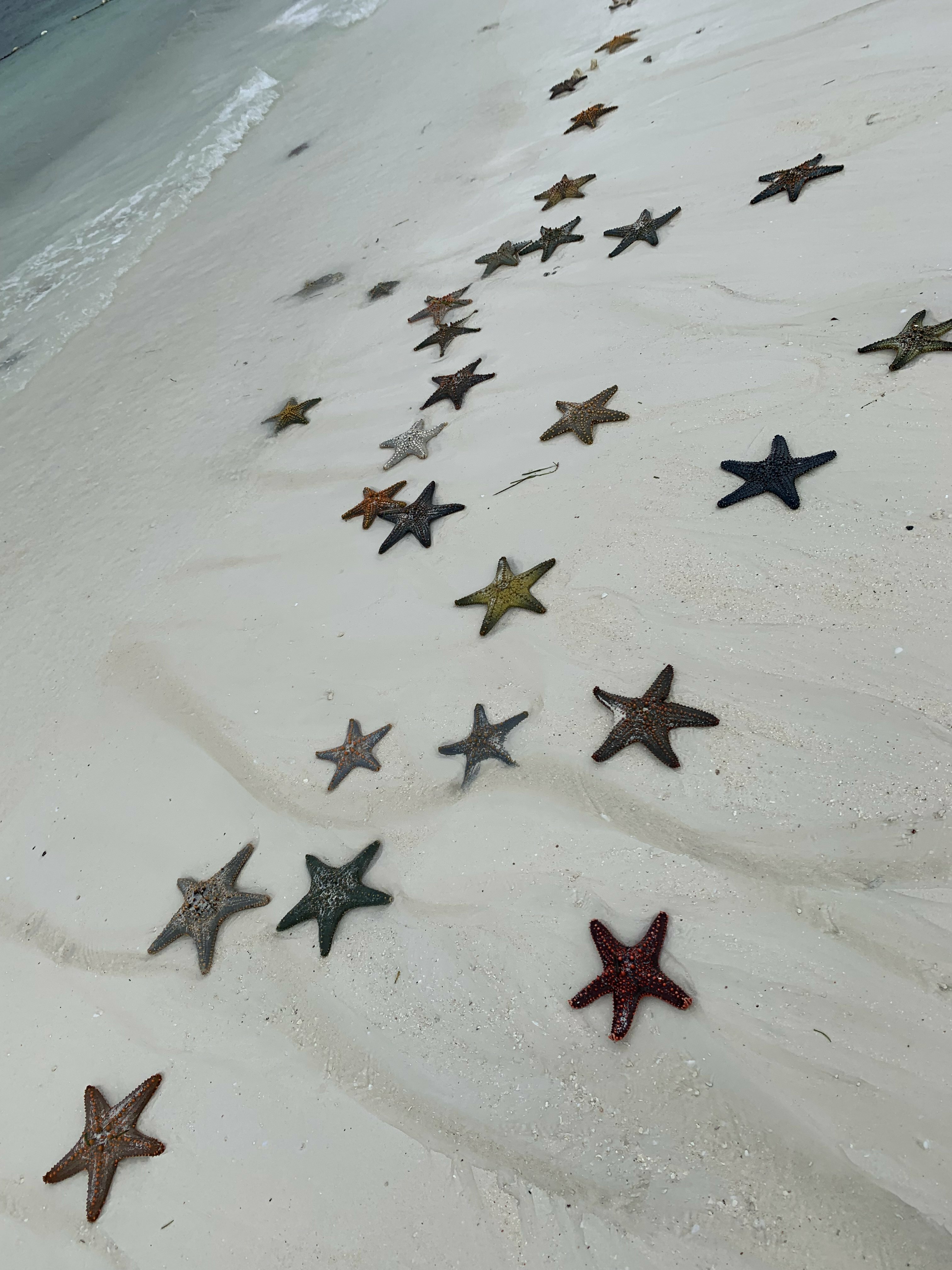 Фото Kendwa Rocks Beach Hotel