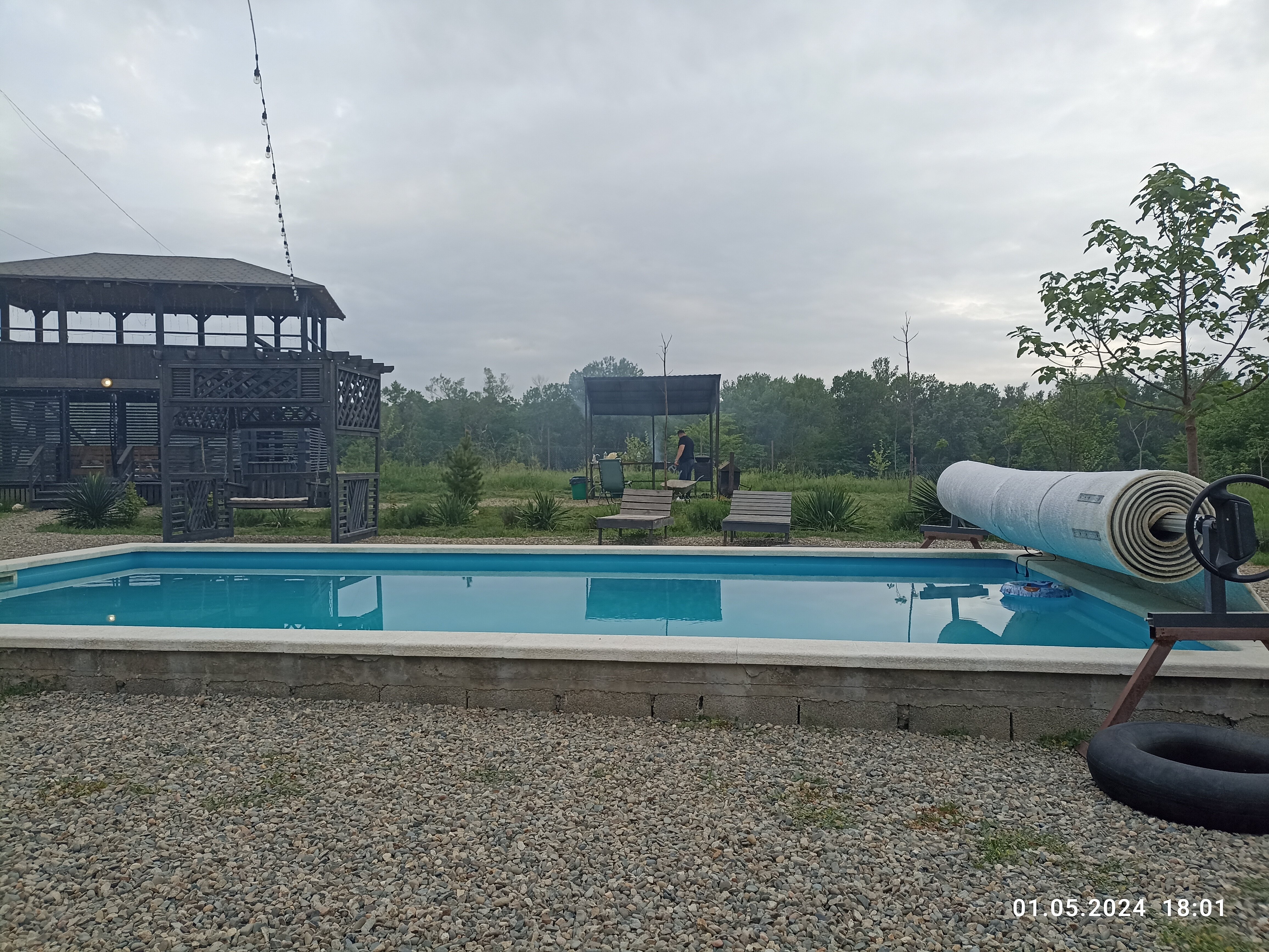 Фото Павлония