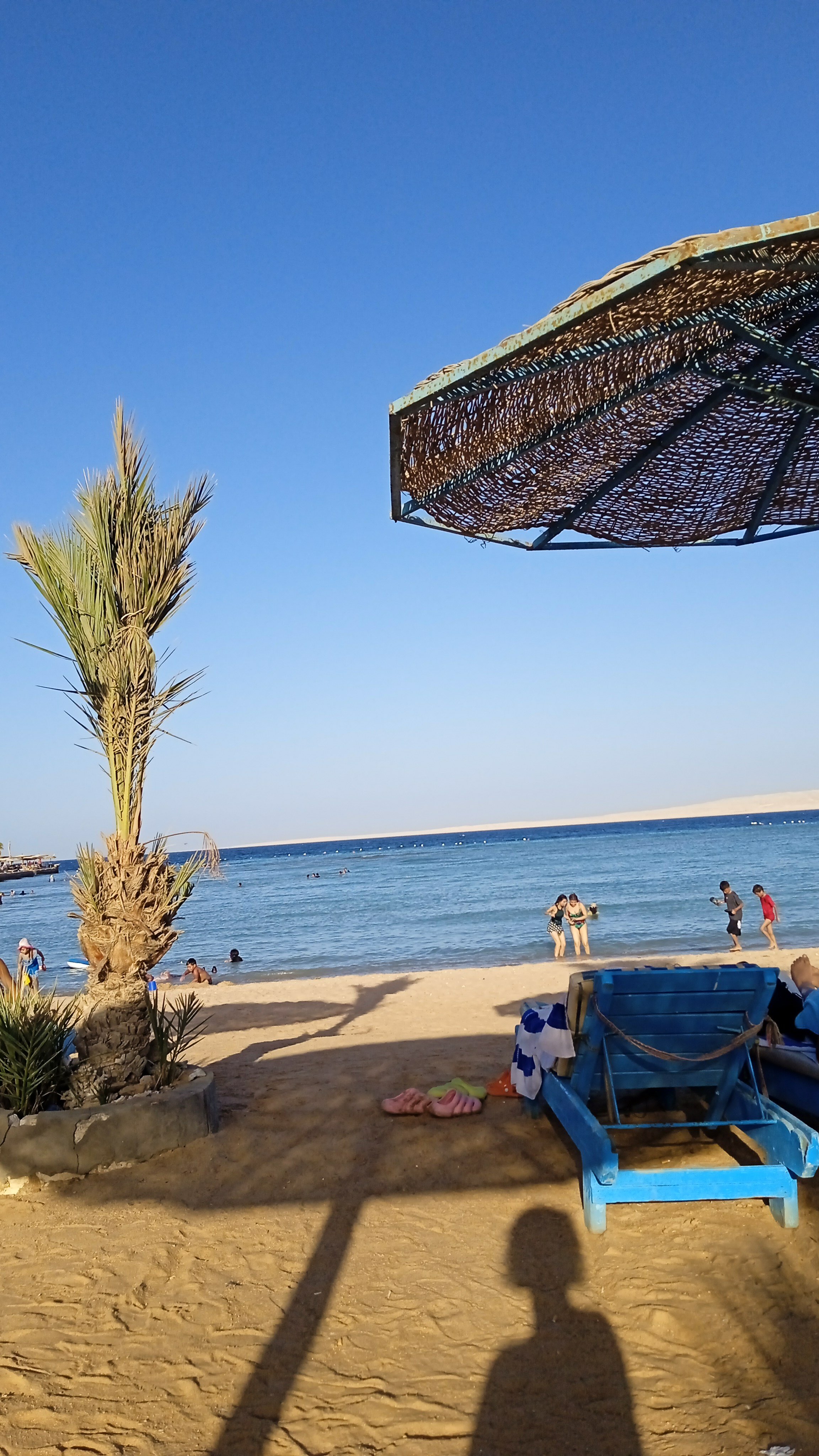 Фото Florenza Khamsin