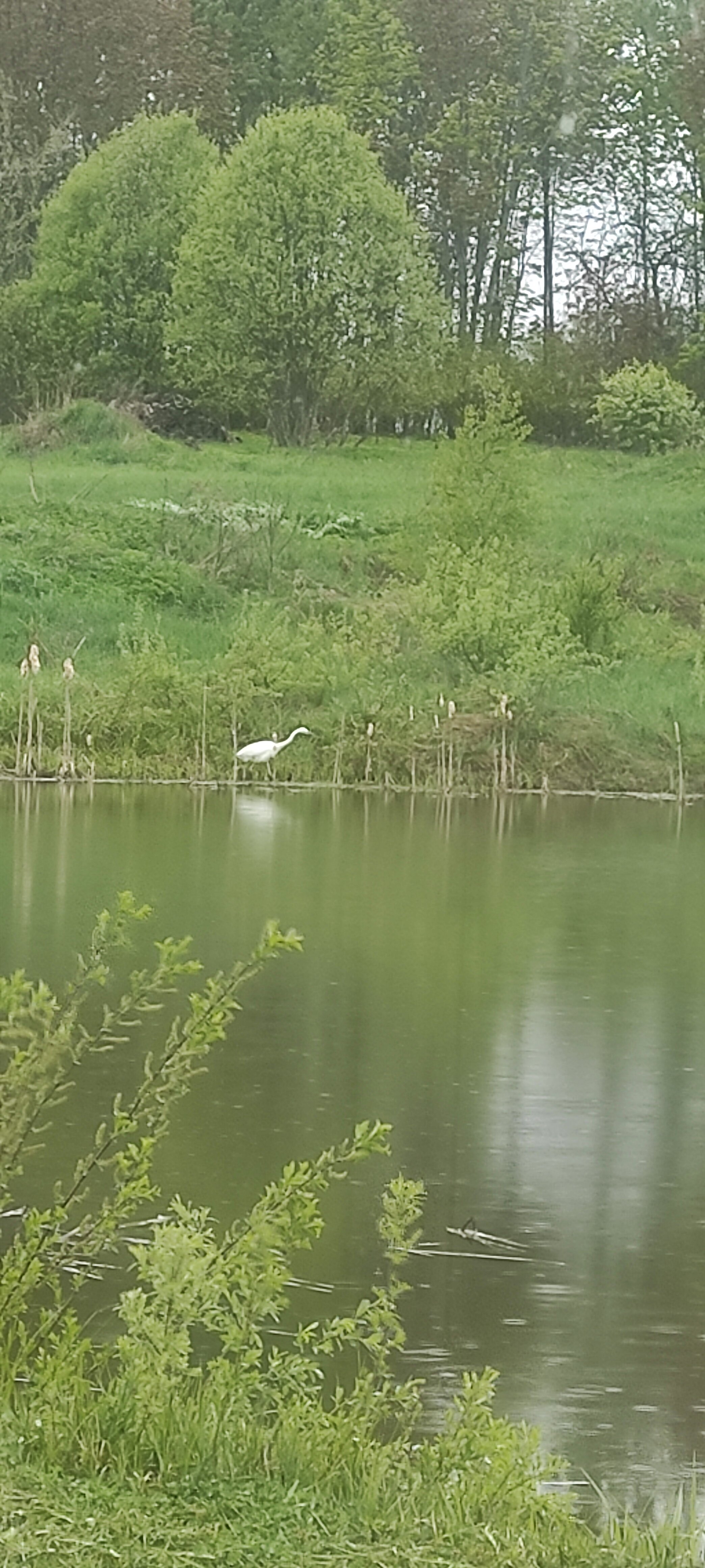 Фото Подчерничье