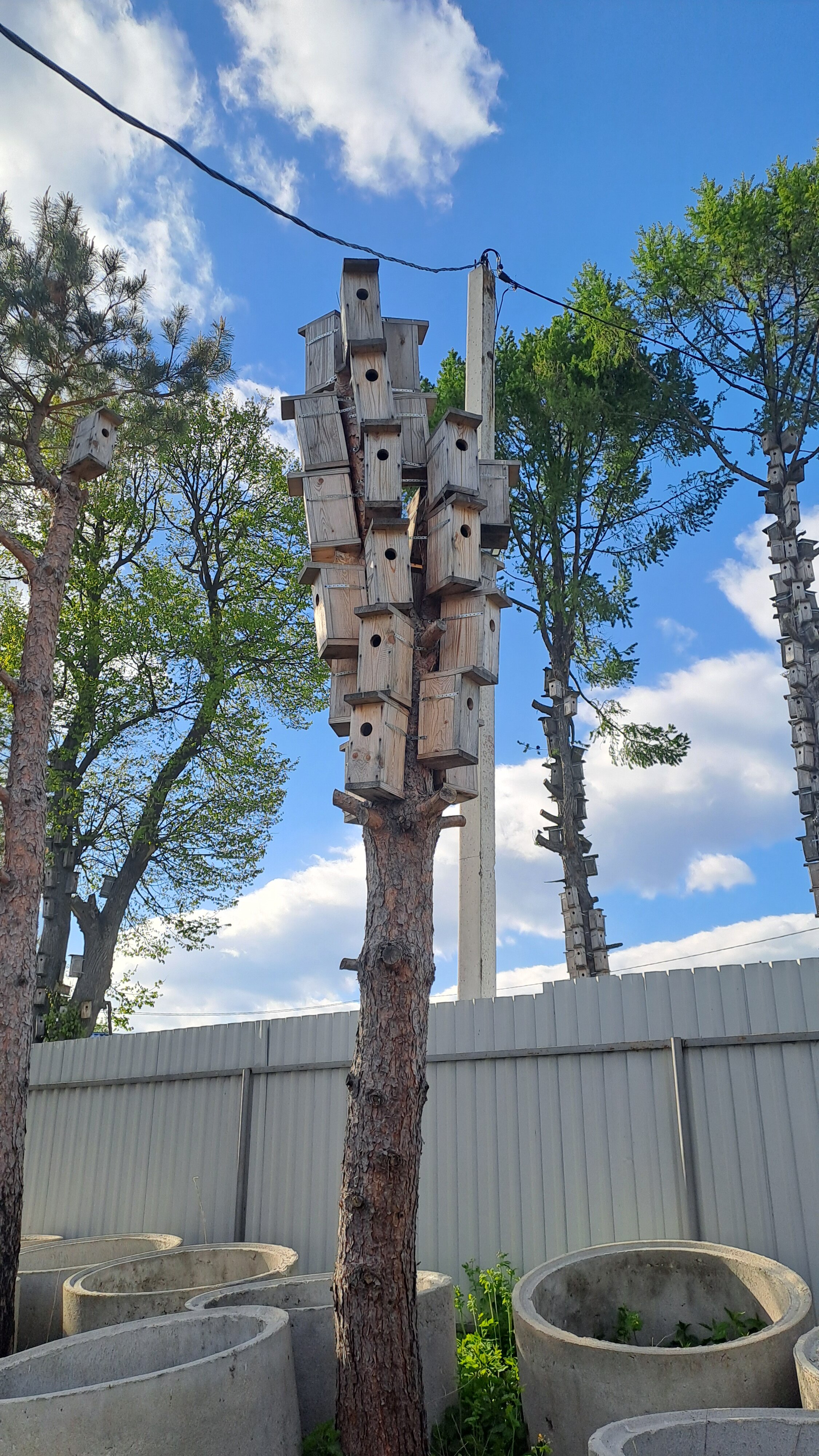 Фото Деревня Озеро