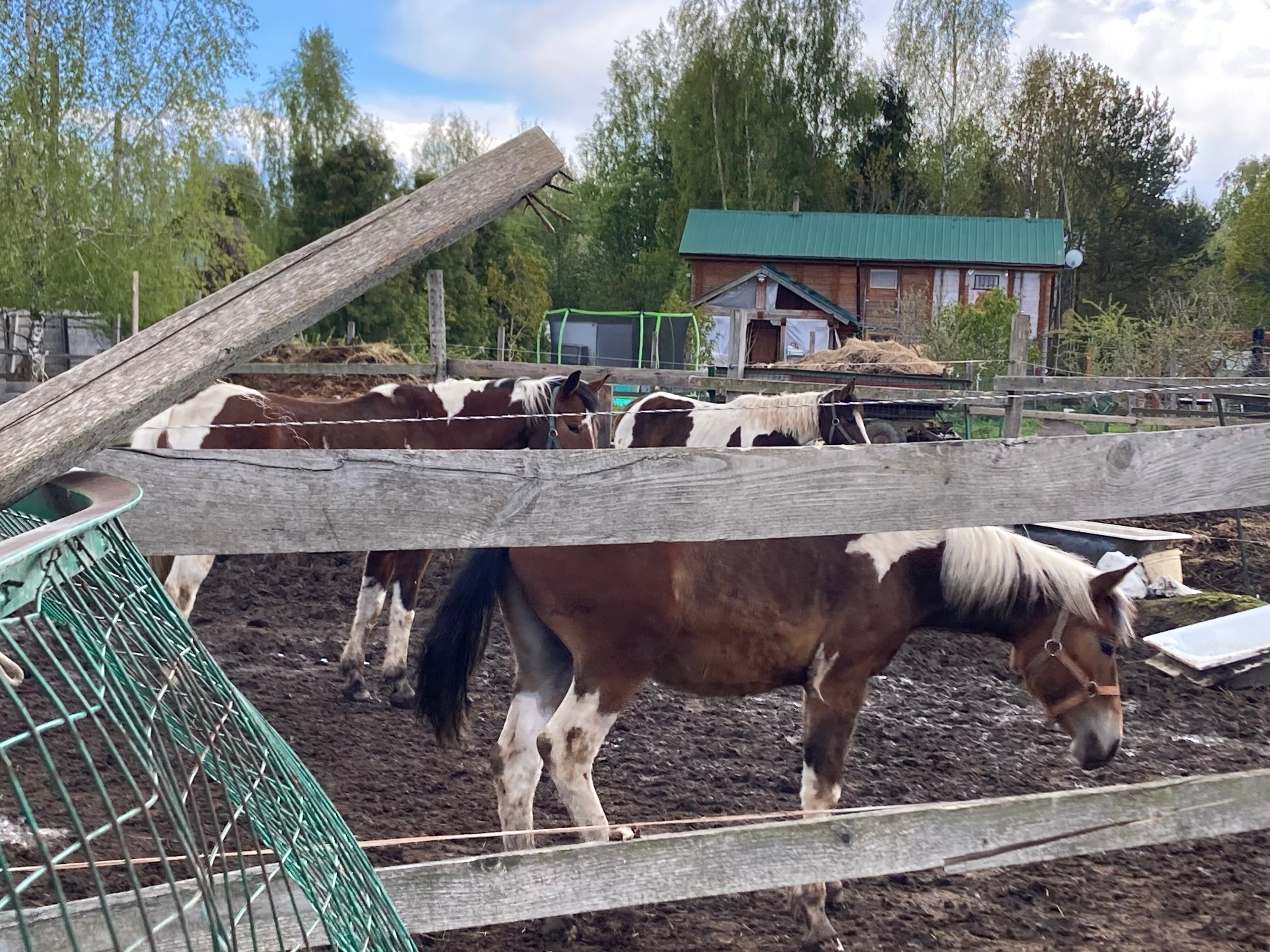 Фото Непросто дача