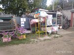 Building materials market (Saratov, posyolok Mirny, Alleynaya ulitsa), hardware store