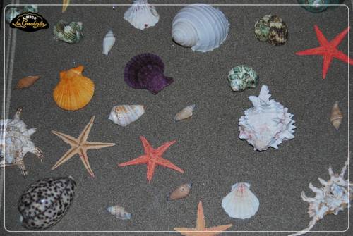 Фото Hotel La Conchiglia