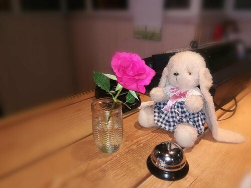 Гостиница Kaatrahovi в Похьойс-Карьяла