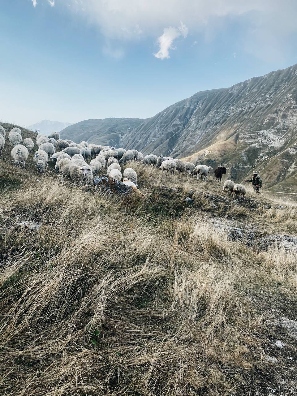 Фото У Магомеда