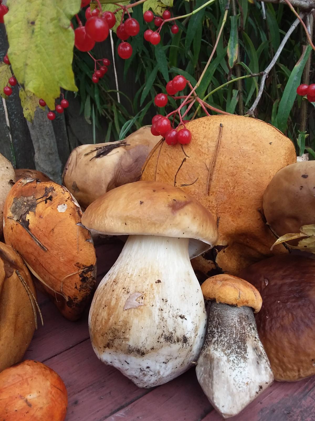 Фото Rich Life Village