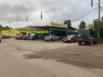 Vimos Auto (ulitsa Viktora Pislegina, 45), tire service