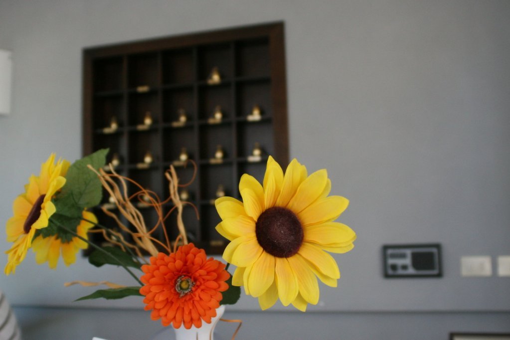 Фото Albergo Villa Marina