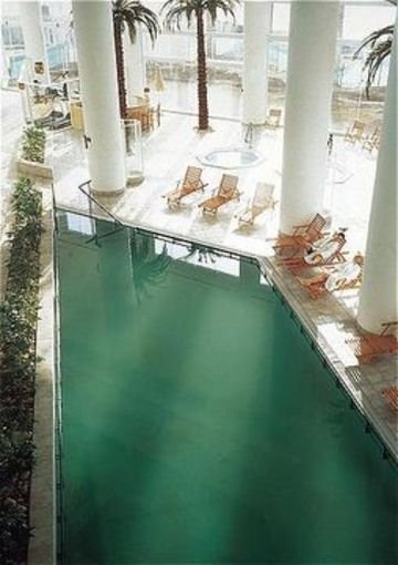 Фото Vert Dead Sea