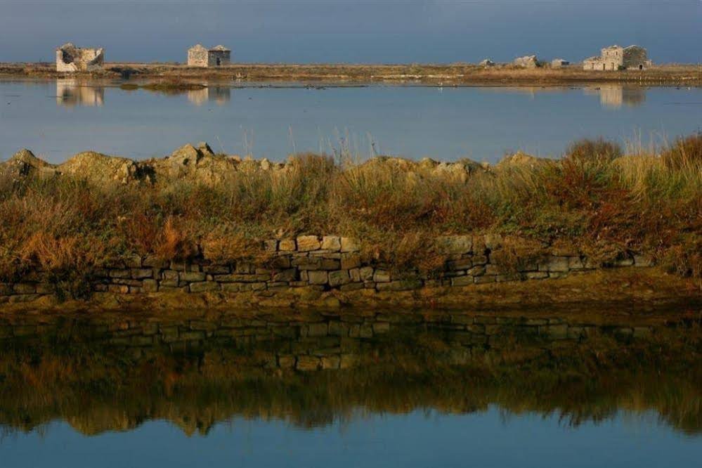 Фото Hotel Neptun