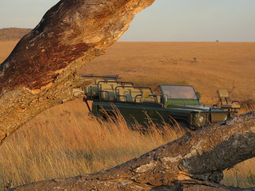 Фото Dawson's Game and Trout Lodge