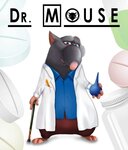 Dr.Mouse (ул. Чернышевского, 104, Красноярск), ветеринарная клиника в Красноярске