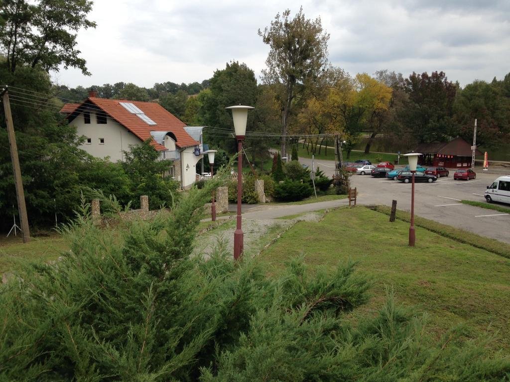 Фото 84359029059