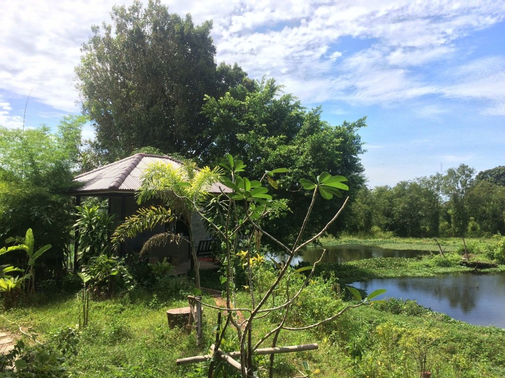 Фото Krabilife Resort