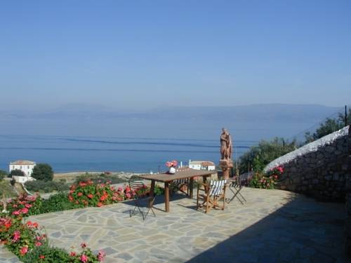 Фото Hydra Erato