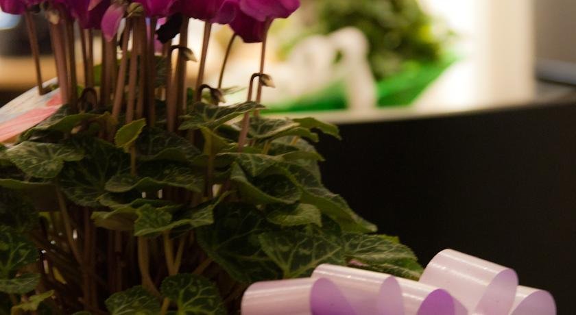 Фото La Sapienza House